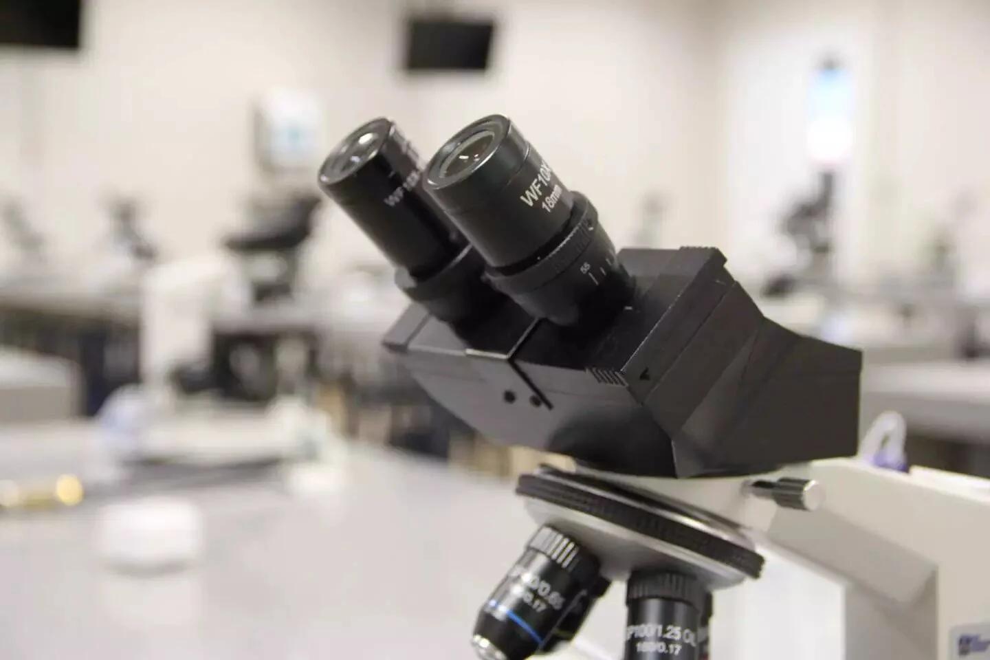 Laboratórios — imagem 1