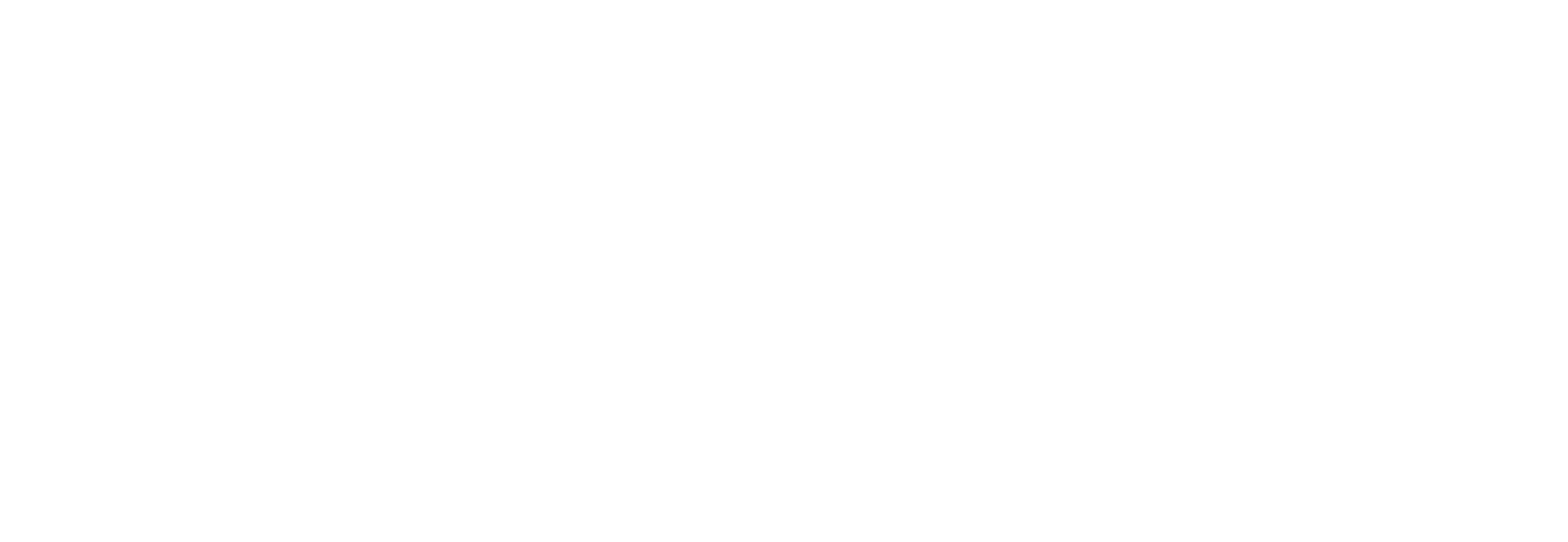 logo mandic