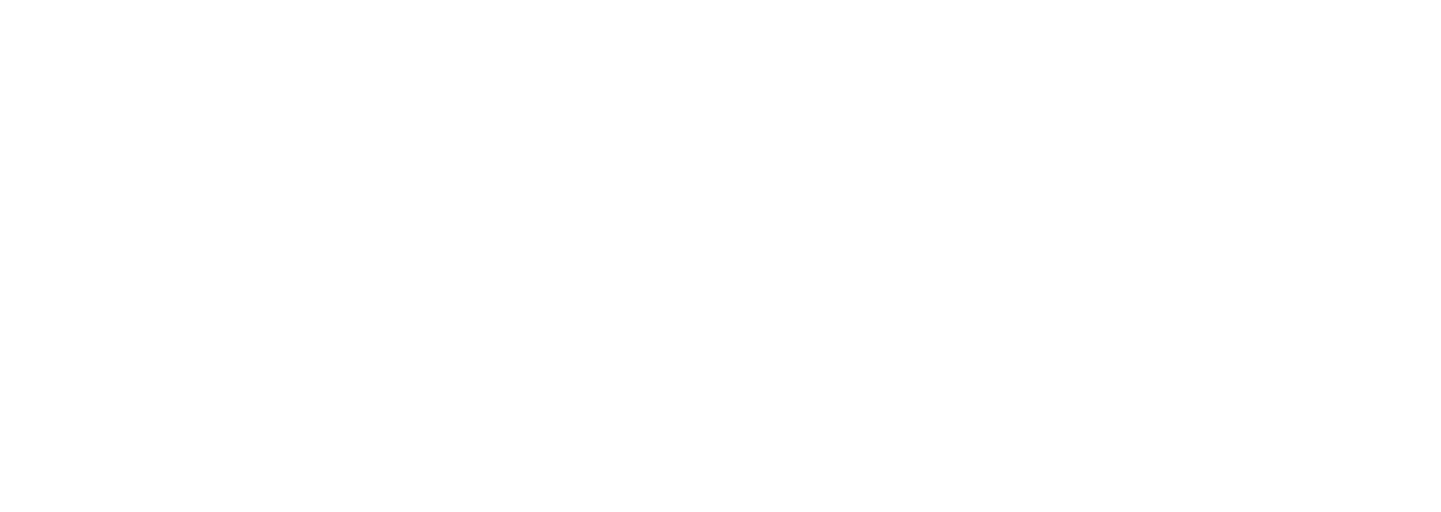 logo mandic