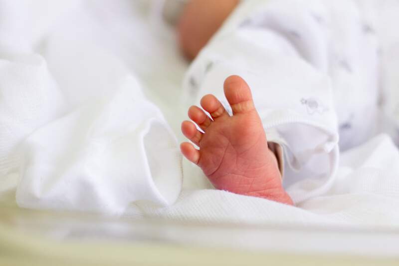 sao-leopoldo-mandic-faculdade-de-medicina-pos-graduaçao-medica-teste-do-pezinho-o-que-e-como-funciona-e-por-que-e-tao-importante